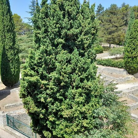 Grande Terrasse Et Vue Sur Le Site Antique Apartment Vaison-la-Romaine Ngoại thất bức ảnh