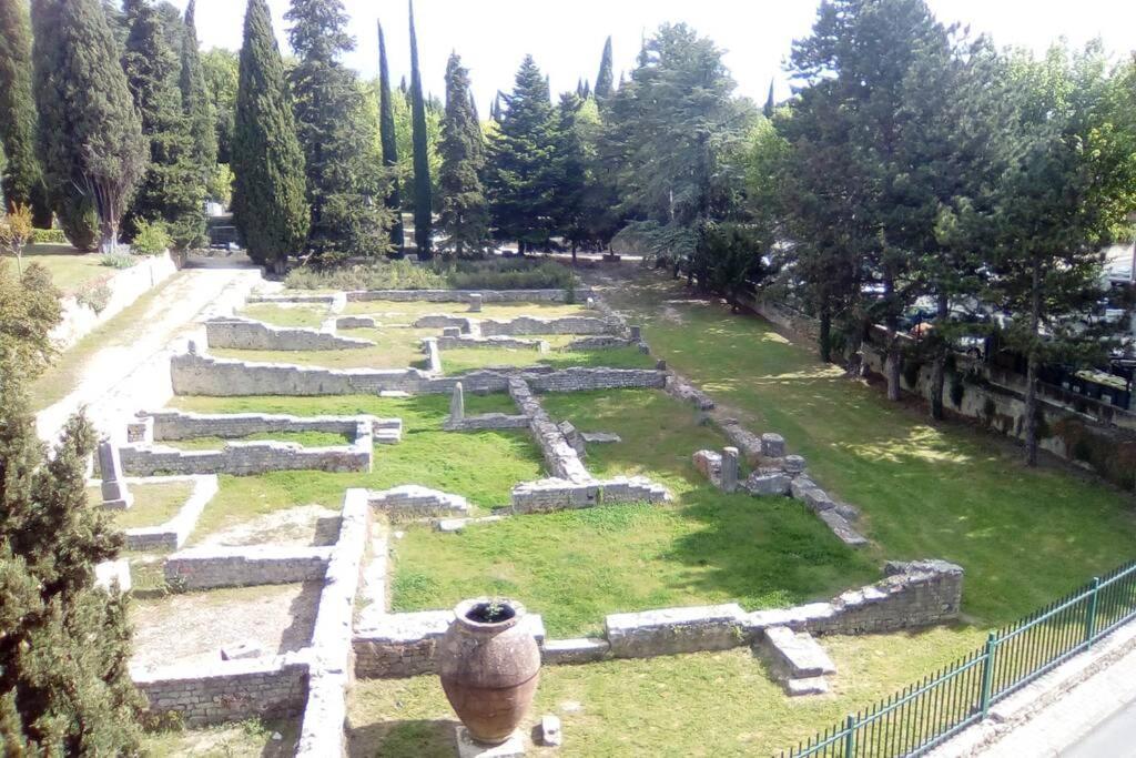 Grande Terrasse Et Vue Sur Le Site Antique Apartment Vaison-la-Romaine Ngoại thất bức ảnh